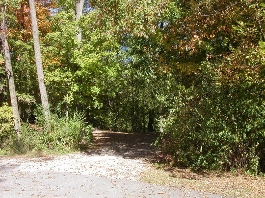 Site 200 at Salamonie Lake