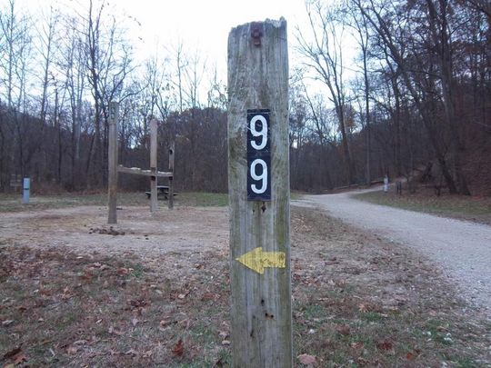 Site H099 at Brown County State Park