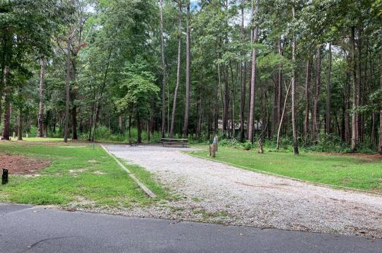 Site 010 at Cliffs of the Neuse State Park