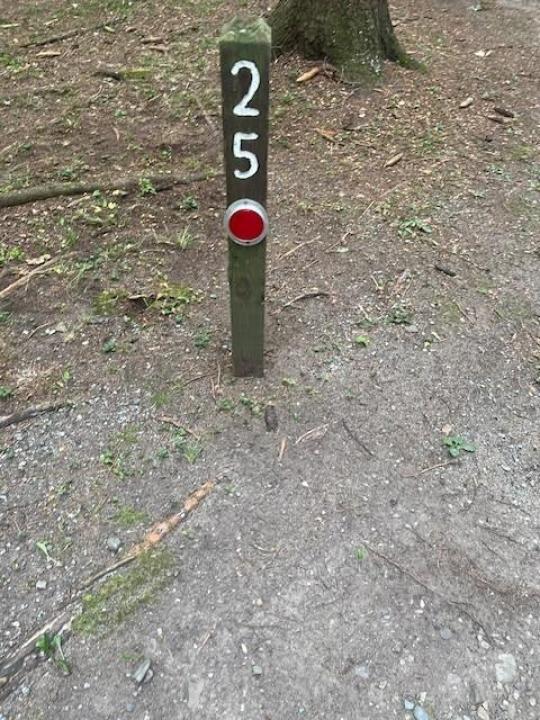 Site 025 at WHETSTONE GULF STATE PARK